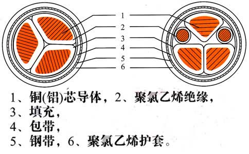 鎧裝電纜結構圖