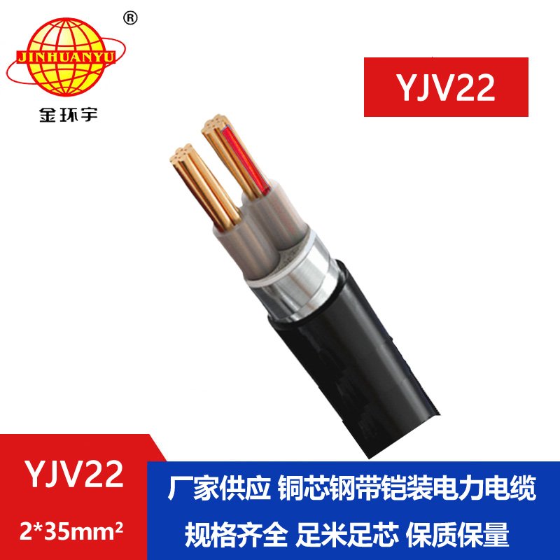 金環宇電線電纜 低壓電纜 YJV22 2X35平方 銅芯鎧裝