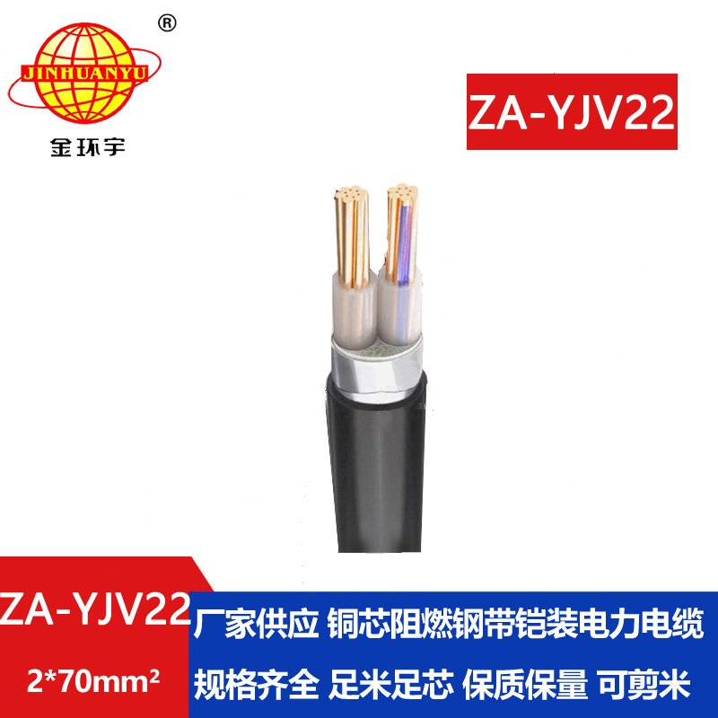 金環宇電纜 深圳電力電纜 ZA-YJV22-2X70平方 阻燃鎧